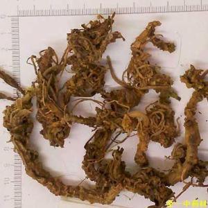 Valerian Root